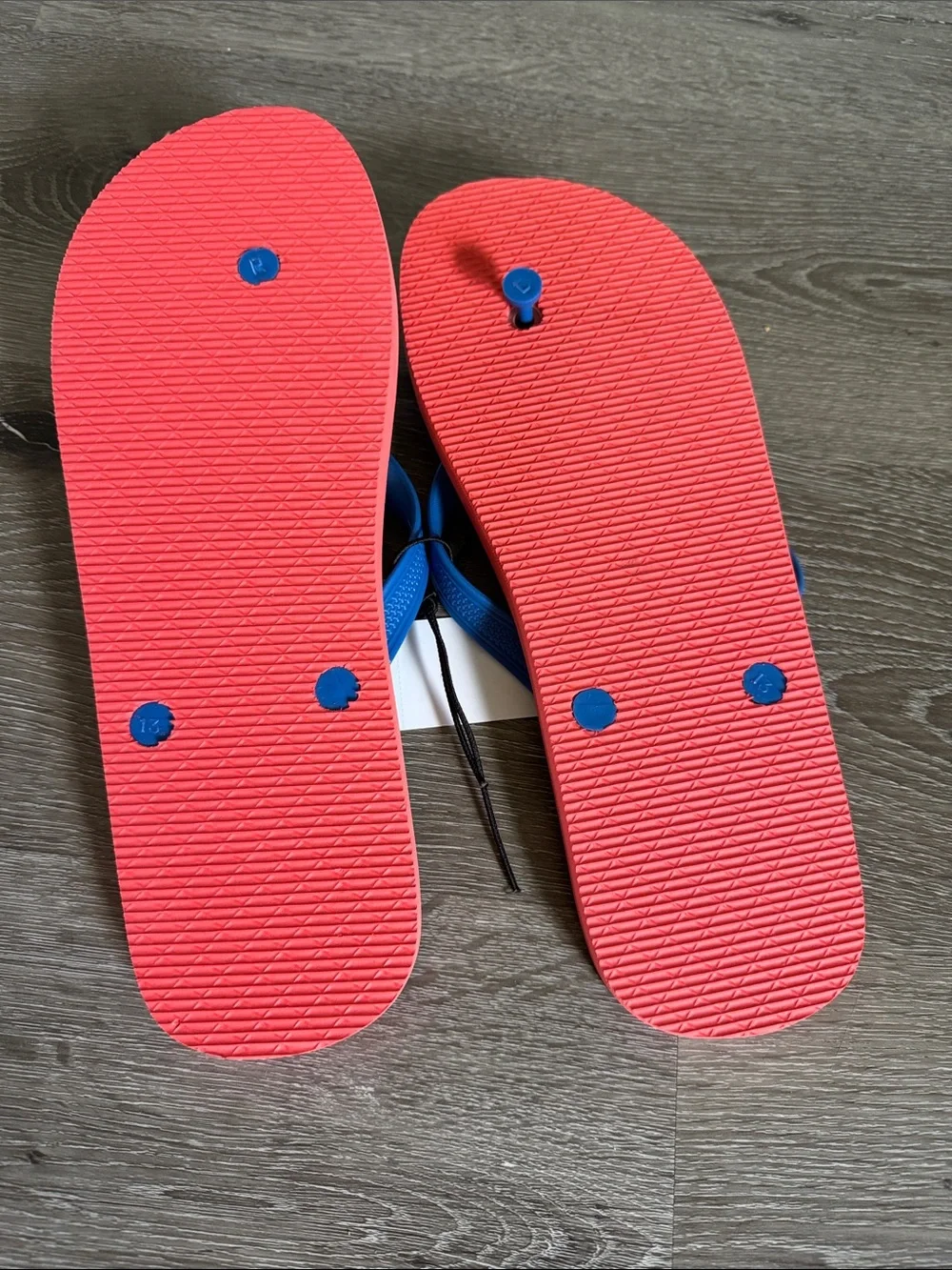 Tropical Blue Flip Flop Sandals